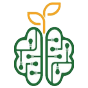 شرکت خلاق